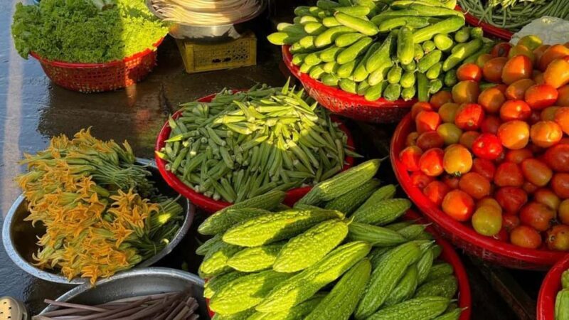 Can Tho: Cooking Class - Flavors of the Delta - Final Thoughts: Is It Worth It?