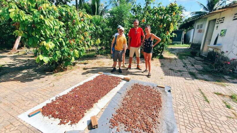 Can Tho: Countryside Cycling Tour with Cocoa Farm Visit - Practical Details and Value