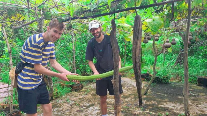 Can Tho: Countryside Cycling Tour with Cocoa Farm Visit - What the Reviews Say