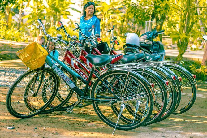 Can Tho: Cycling in Village-Fruit Garden-Experience Local Ferry - A Deep Dive into the Tour Experience