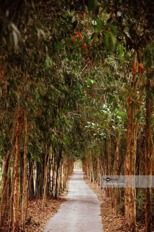 Can Tho: Lung Ngoc Hoang Nature Reserve & Forest Tour - Key Points