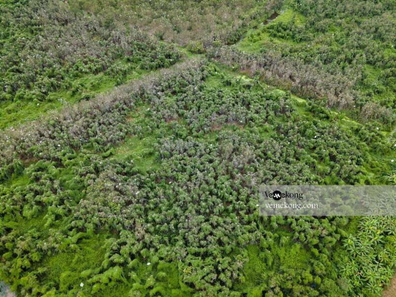 Can Tho: Lung Ngoc Hoang Nature Reserve & Forest Tour - Authenticity and Insider Feel