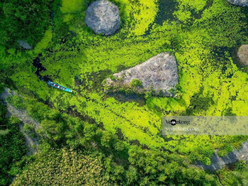 Can Tho: Lung Ngoc Hoang Nature Reserve & Forest Tour - FAQ
