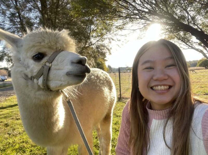 Canberra: Alpaca Adventure Farm Tour (morning tea included) - What the Tour Entails