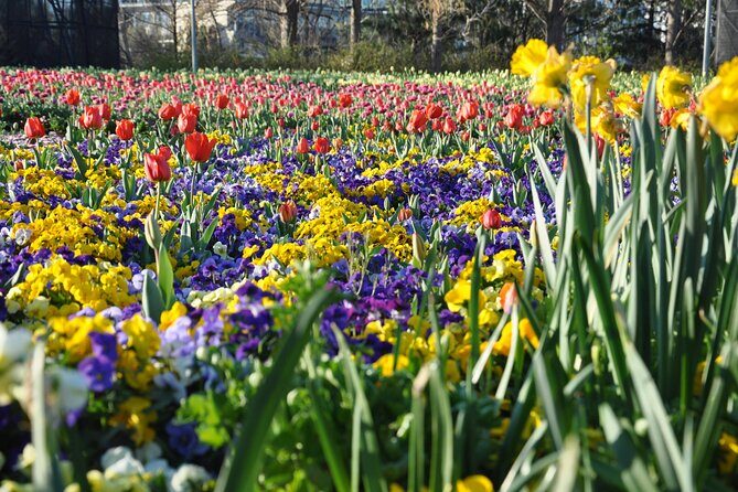 Canberra Floriade Tour - Introduction: Why This Tour Might Be Your Perfect Spring Escape