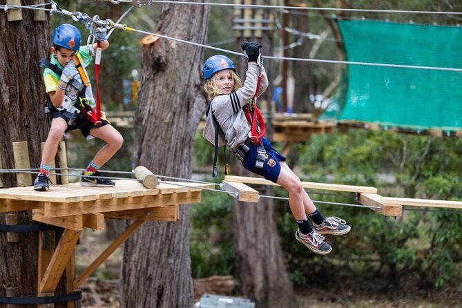 Canberra Junior Tree Ropes Course - Key Points