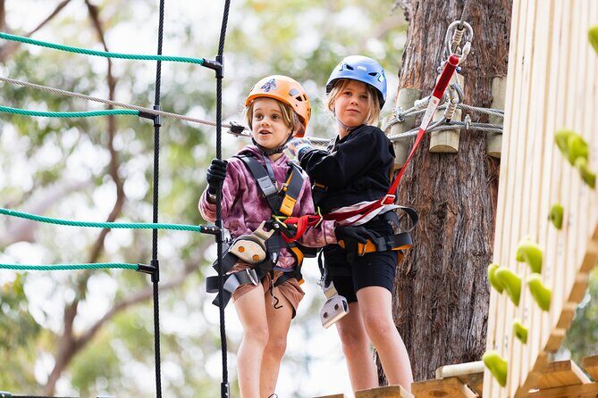 Canberra Junior Tree Ropes Course - Who Should Try This?
