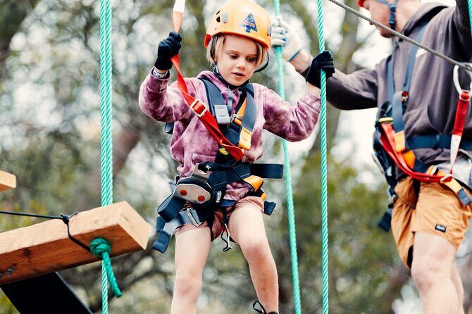 Canberra Junior Tree Ropes Course - Final Thoughts