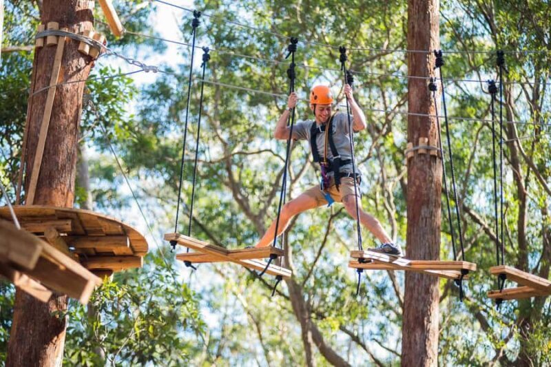Canberra: Majura Pines Tree Ropes Course - What Is the Majura Pines Tree Ropes Course?
