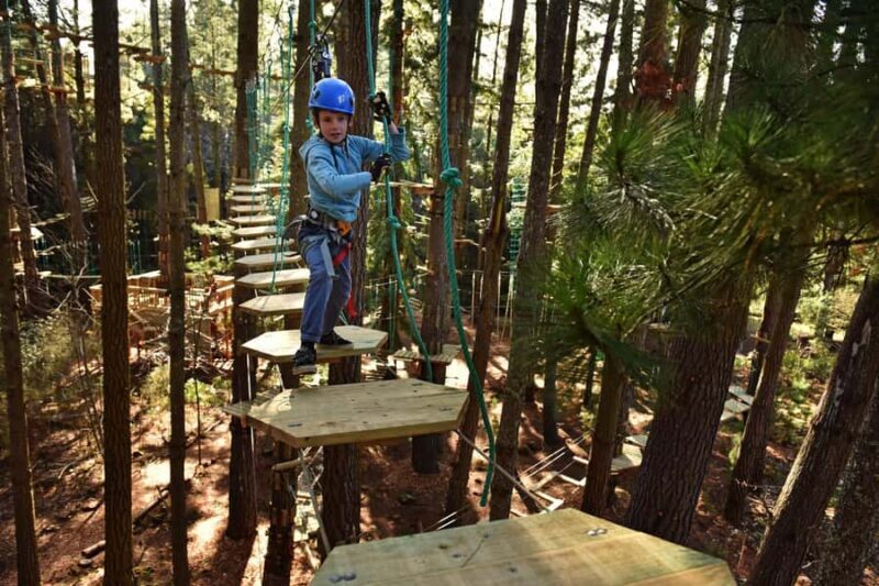 Canberra: Majura Pines Tree Ropes Course - The Experience: What Really Makes It Special