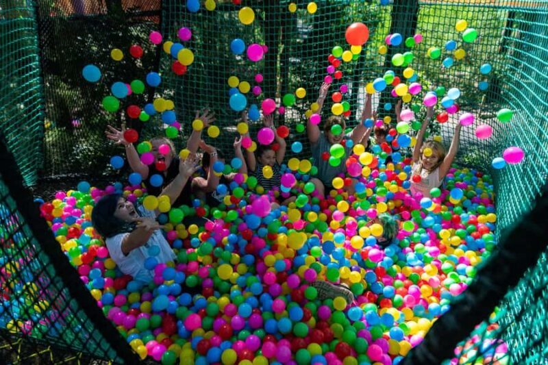 Canberra: Networld Treetop Adventure - Key Points