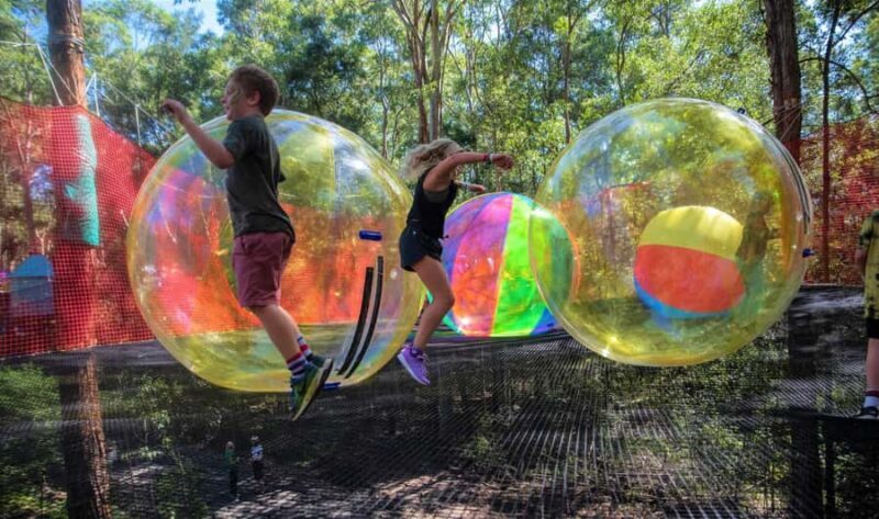 Canberra: Networld Treetop Adventure - What is Networld Treetop Adventure?