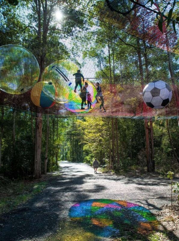 Canberra: Networld Treetop Adventure - The Experience’s Pros and Cons