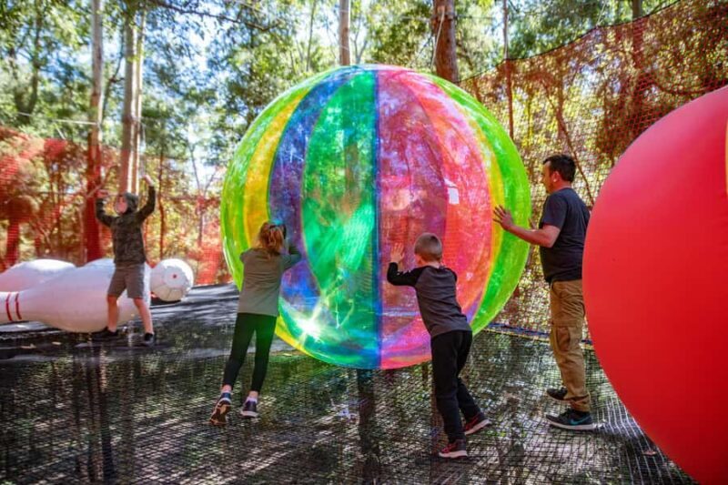 Canberra: Networld Treetop Adventure - Who Would Enjoy This Adventure?