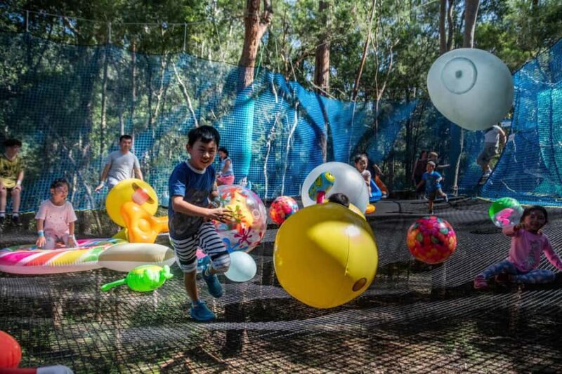 Canberra: Networld Treetop Adventure - Final Thoughts