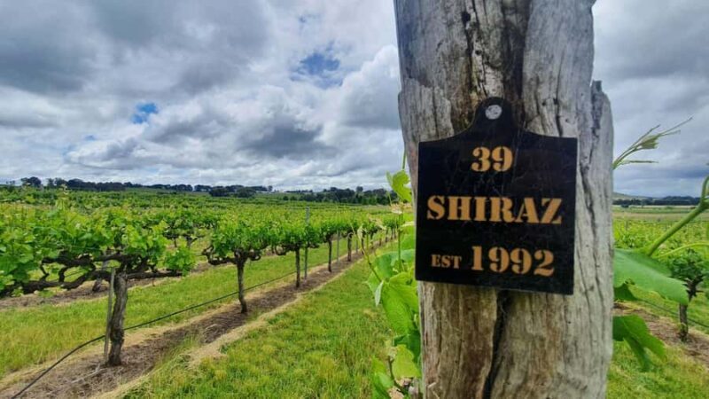 Canberra: Private Wine Discovery Tour with Lunch - The Practical Side: What Travelers Should Know