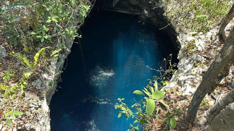 Cancun 2 Cenote Dives: The Pit & Dos Ojos - Certified Divers - What Makes This Tour Stand Out