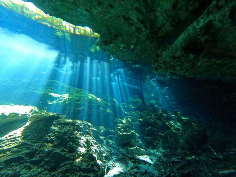 Cancun 2 Cenote Dives: The Pit + Nicte Ha - Certified Divers - Key Points