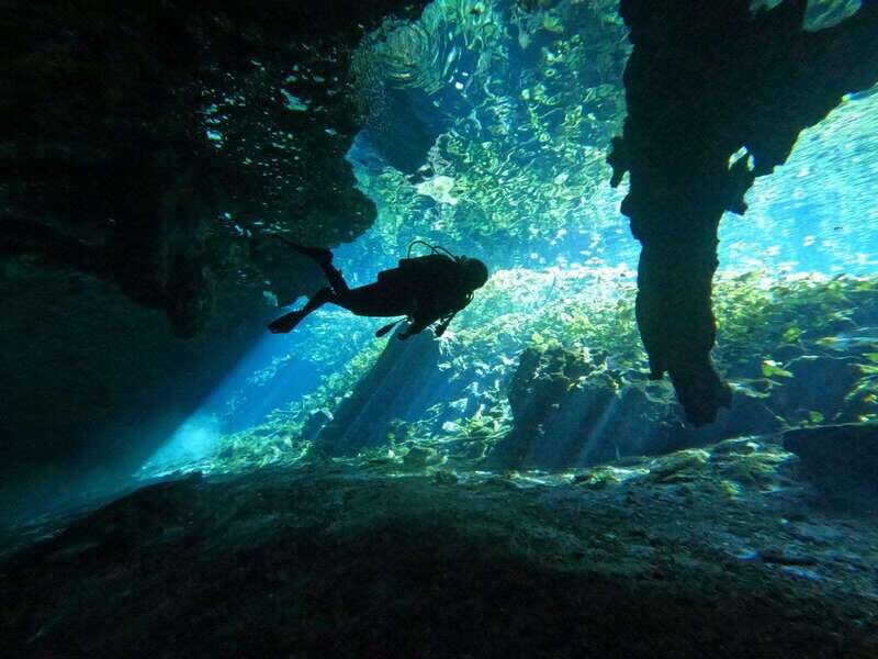 Cancun 2 Cenote Dives: The Pit + Nicte Ha - Certified Divers - An In-Depth Look at the Cenote Dives Experience
