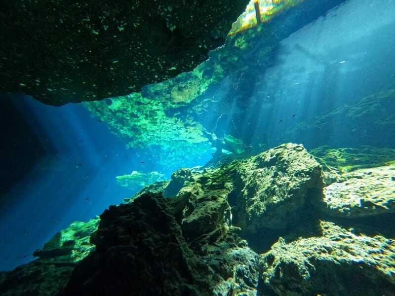 Cancun 2 Cenote Dives: The Pit + Nicte Ha - Certified Divers - Final Thoughts: Who Will Love This Experience?