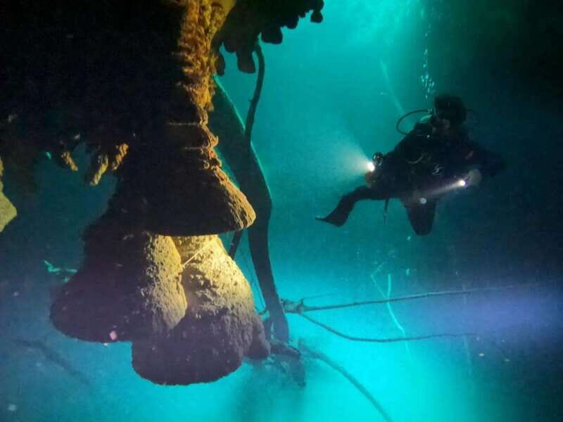 Cancun: 2 Dives in Cenotes Ki Ha + Zapote - Certified Divers - An Introduction to Cancun’s Cenote Diving Adventure