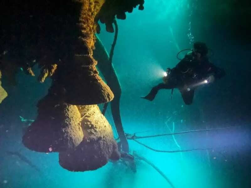 Cancun: 2 Dives in Cenotes Ki Ha + Zapote - Certified Divers - FAQ