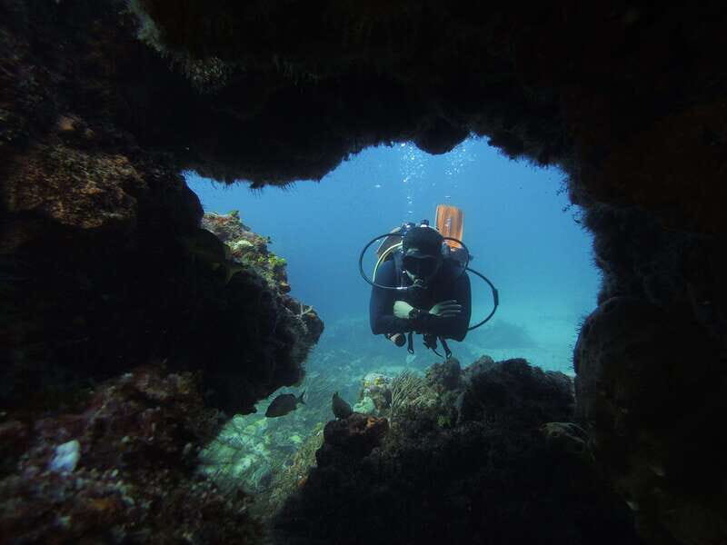 Cancun: 2 Reef Dives at Punta Cancun for Certified Divers - Who Should Consider This Tour?