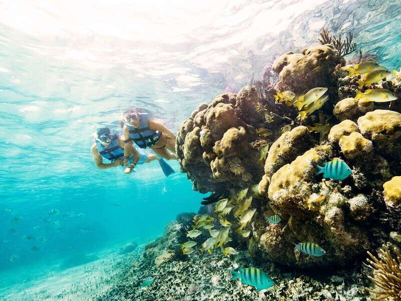 Cancun: 2Hour Speedboat Experience - What Travelers Say