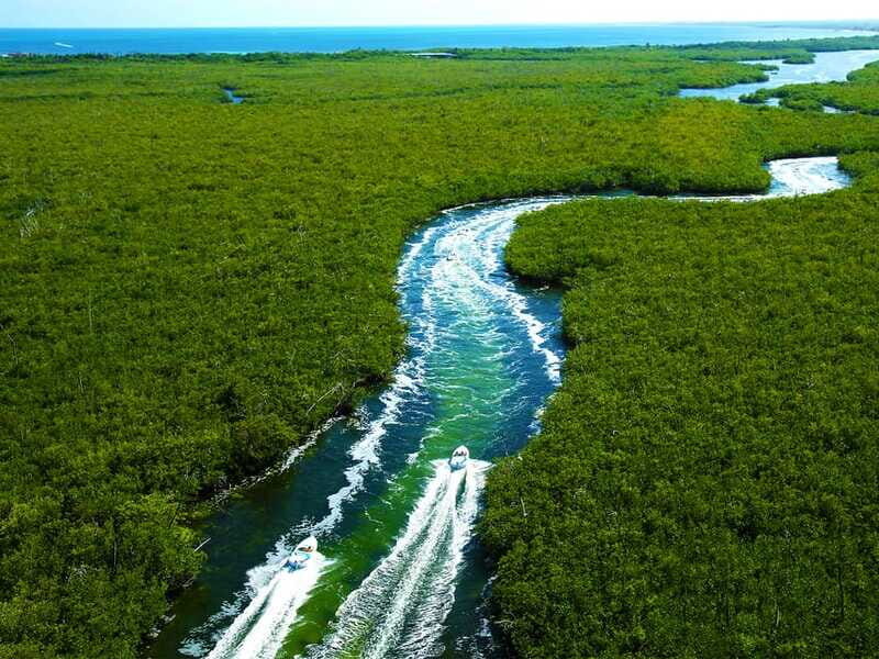 Cancun: 2Hour Speedboat Experience - Who Will Love This Experience?