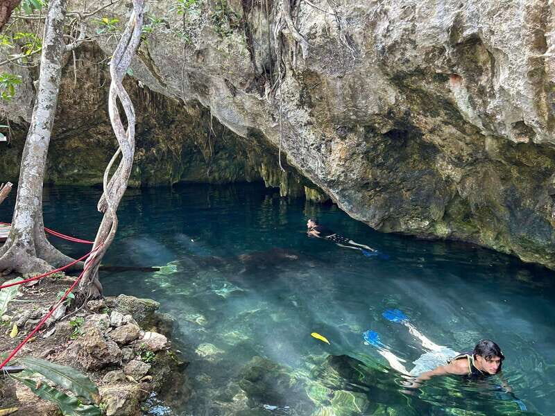 Cancun: 3 Cenotes & 1 Lagoon Tour - Practical Tips for Travelers