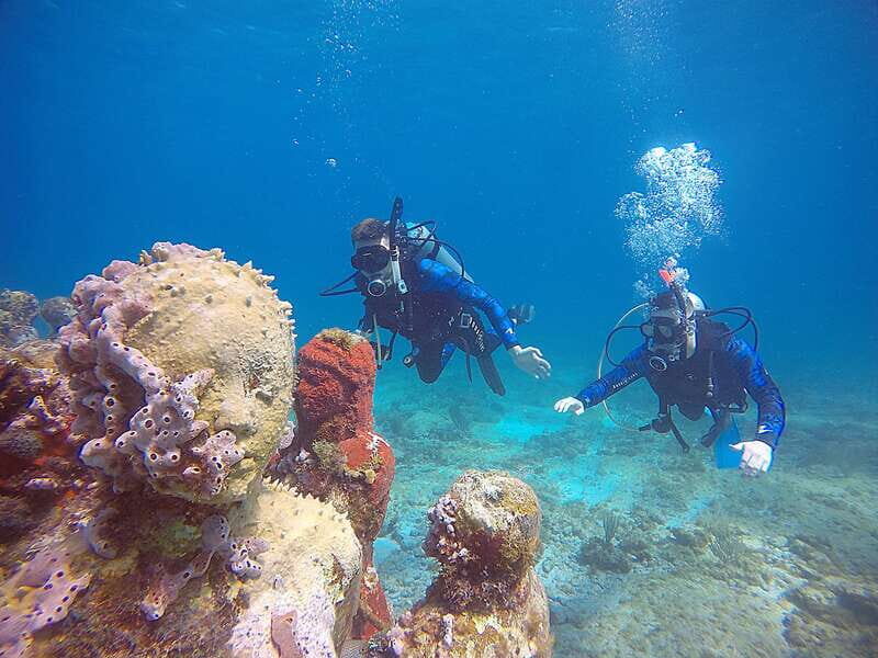 Cancun: 3 Days SDI Open Water Diver Certification - Who will benefit most?