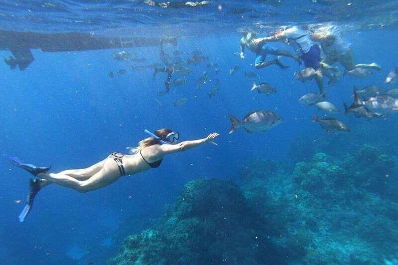 Cancun: 3 Islands Snorkel Adventure - An Introduction to an Authentic Cancun Experience