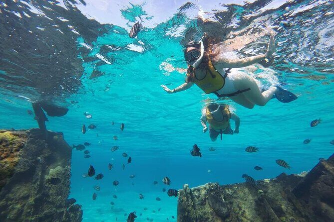 Cancun 6 in 1 Snorkeling Tour: MUSA, Shipwreck, Reefs & Cenotes - Analyzing the Value