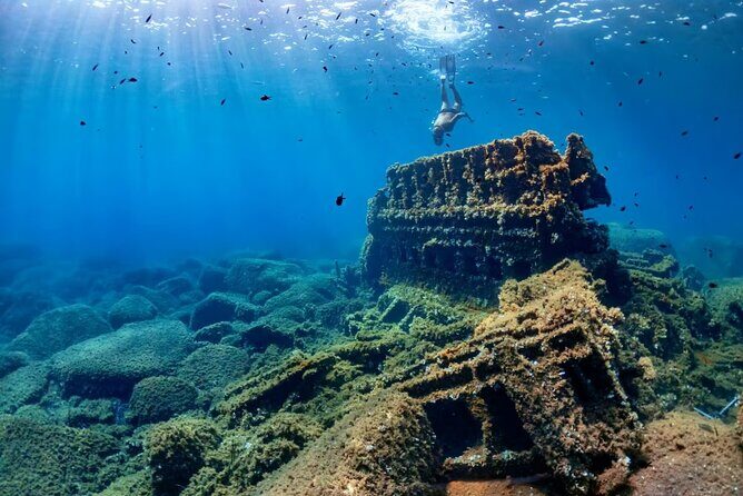 Cancun 6 in 1 Snorkeling Tour: MUSA, Shipwreck, Reefs & Cenotes - Practical Tips for Future Snorkelers