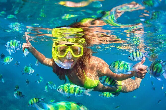 Cancun 6 in 1 Snorkeling Tour: MUSA, Shipwreck, Reefs & Cenotes - Who Should Consider This Tour?