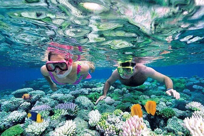 Cancun 6 in 1 Snorkeling Tour: MUSA, Shipwreck, Reefs & Cenotes - Final Words