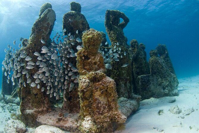 Cancun 6 in 1 Snorkeling Tour: MUSA, Shipwreck, Reefs & Cenotes - FAQ