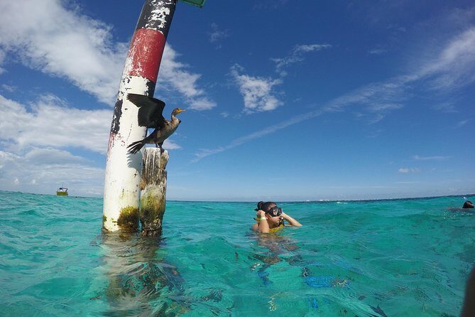 Cancun Adventure: Reef Snorkeling & Parasailing Experience - What to Expect from This Cancun Combo Tour