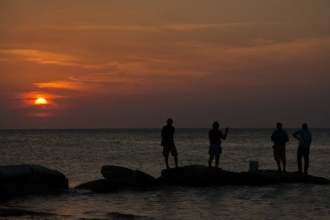 Cancun Airport to Holbox Transportation Private - Pricing and Value Analysis