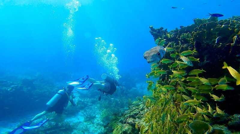 Cancun: All included Diving Lesson (2 Tanks) - Practical Details: Timing, Group Size, and Preparation