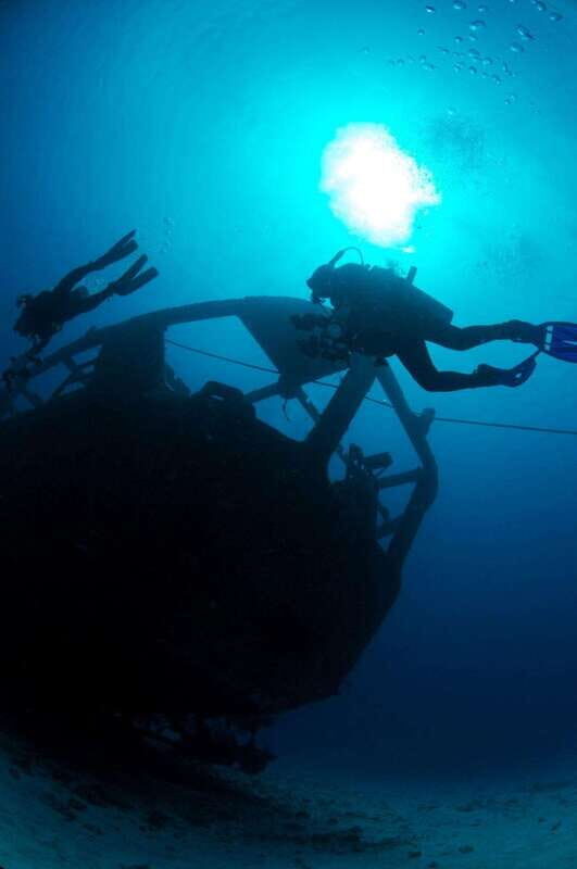 Cancun: Angelfish Discovery Package - A Closer Look at What to Expect