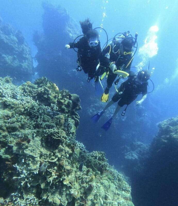 Cancun: Barracuda Dive Expedition - Pricing and Value