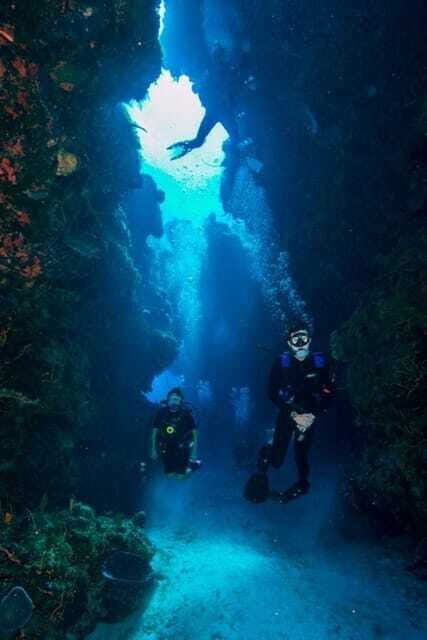 Cancun: Barracuda Dive Expedition - FAQ