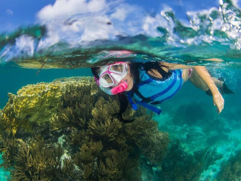 Cancun: Chichen Itza + Catamaran to Isla Mujeres combo in 2 days - Day Two: Caribbean Adventure to Isla Mujeres
