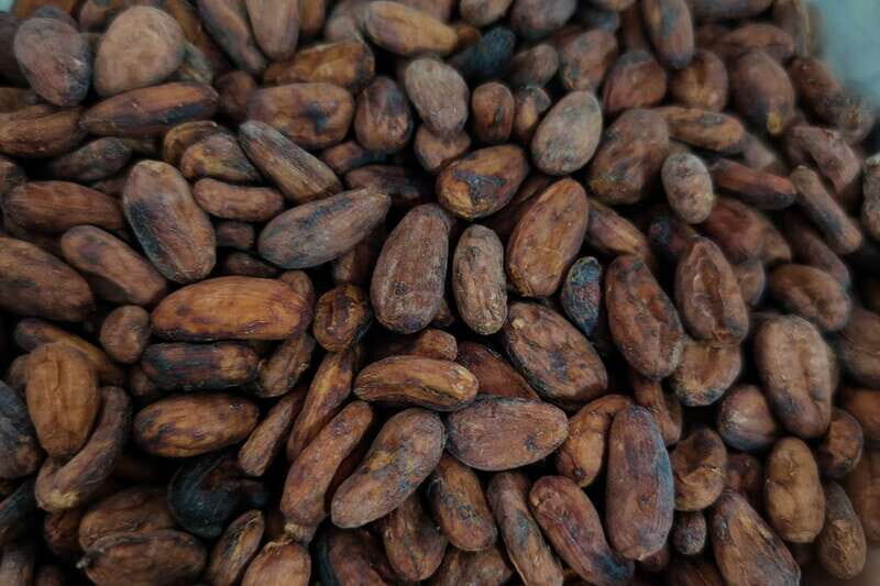 Cancún: Chocolate Making Class and Tasting with Chef - Authenticity and Value