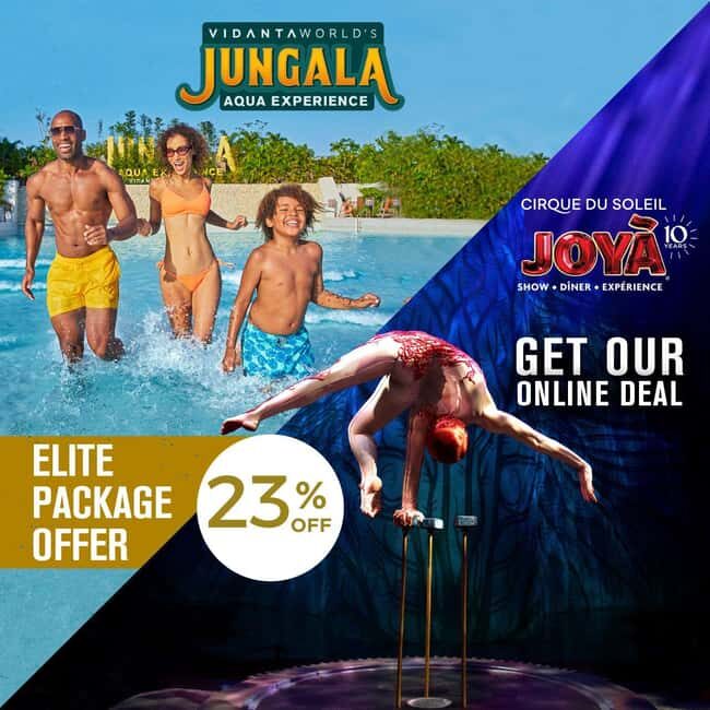 Cancún: Cirque du Soleil JOYÀ Show Ticket - Accessibility and Practicalities