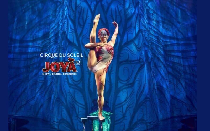 Cancún: Cirque du Soleil JOYÀ Ticket - What Is Cirque du Soleil JOYÀ?