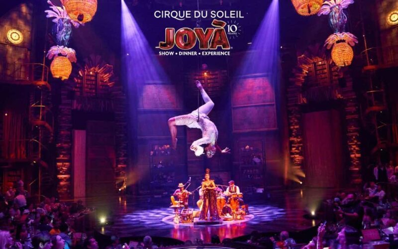 Cancún: Cirque du Soleil JOYÀ Ticket - What to Expect During the Show