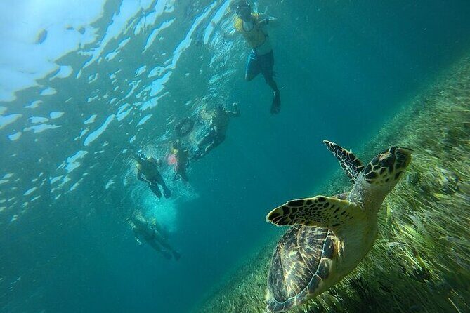 Cancun Combo Adventure: 4 Reef Snorkeling Stops & Parasailing - Frequently Asked Questions