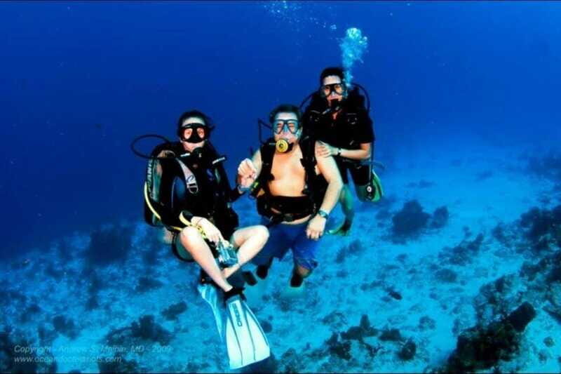 Cancún: Cozumel 2-Tank Diving Tour with Lunch & Transfers - Pricing and Value